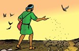 Leituras do dia  23 de julho de 2025: Quarta-feira da 16 semana do Tempo Comum