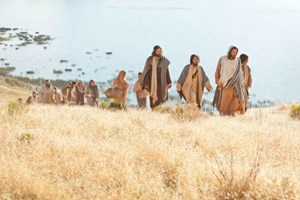 Leituras do dia  9 de julho de 2025: Quarta-feira da 14 semana do Tempo Comum